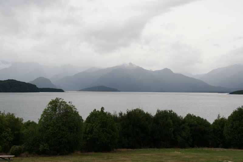 Nieuw-Zeeland 2011 - 1666